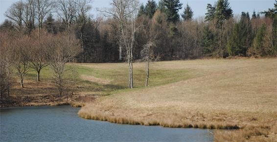 Mise aux normes des étangs Limoges, Mise aux normes des étangs Haute-vienne (87), Mise aux normes des étangs Limousin